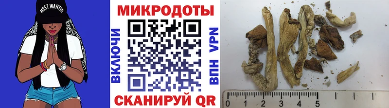 Галлюциногенные грибы GOLDEN TEACHER  даркнет сайт  Воркута 